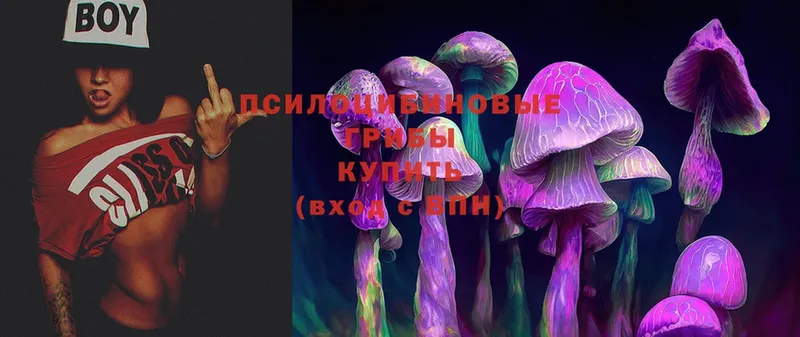 Галлюциногенные грибы Psilocybine cubensis  kraken   Каневская 